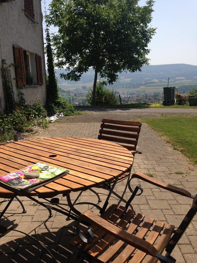 Bnb Im Waldhof Bachenbulach Екстер'єр фото